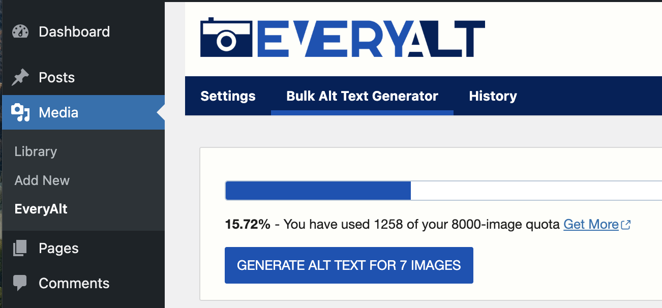 The image shows a dashboard displaying the user's EveryAlt usage, with a percentage of usage and the number of images used out of the total quota.