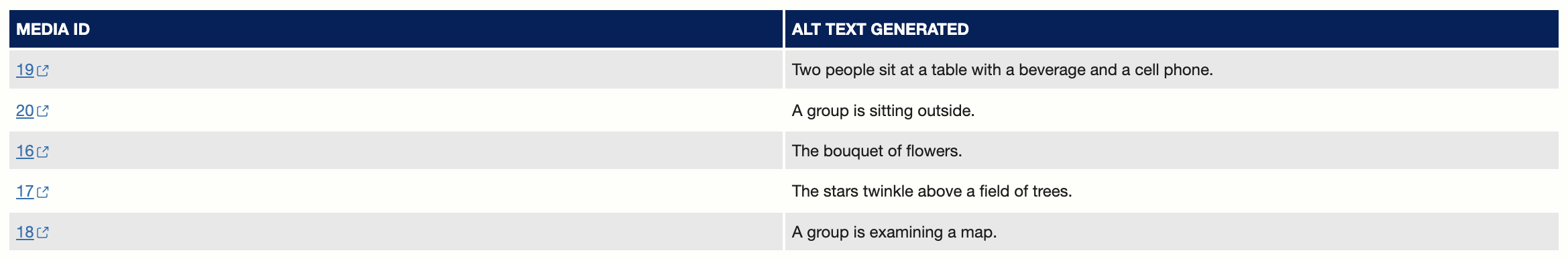 A table of alt text generated by EveryAlt's bulk process.